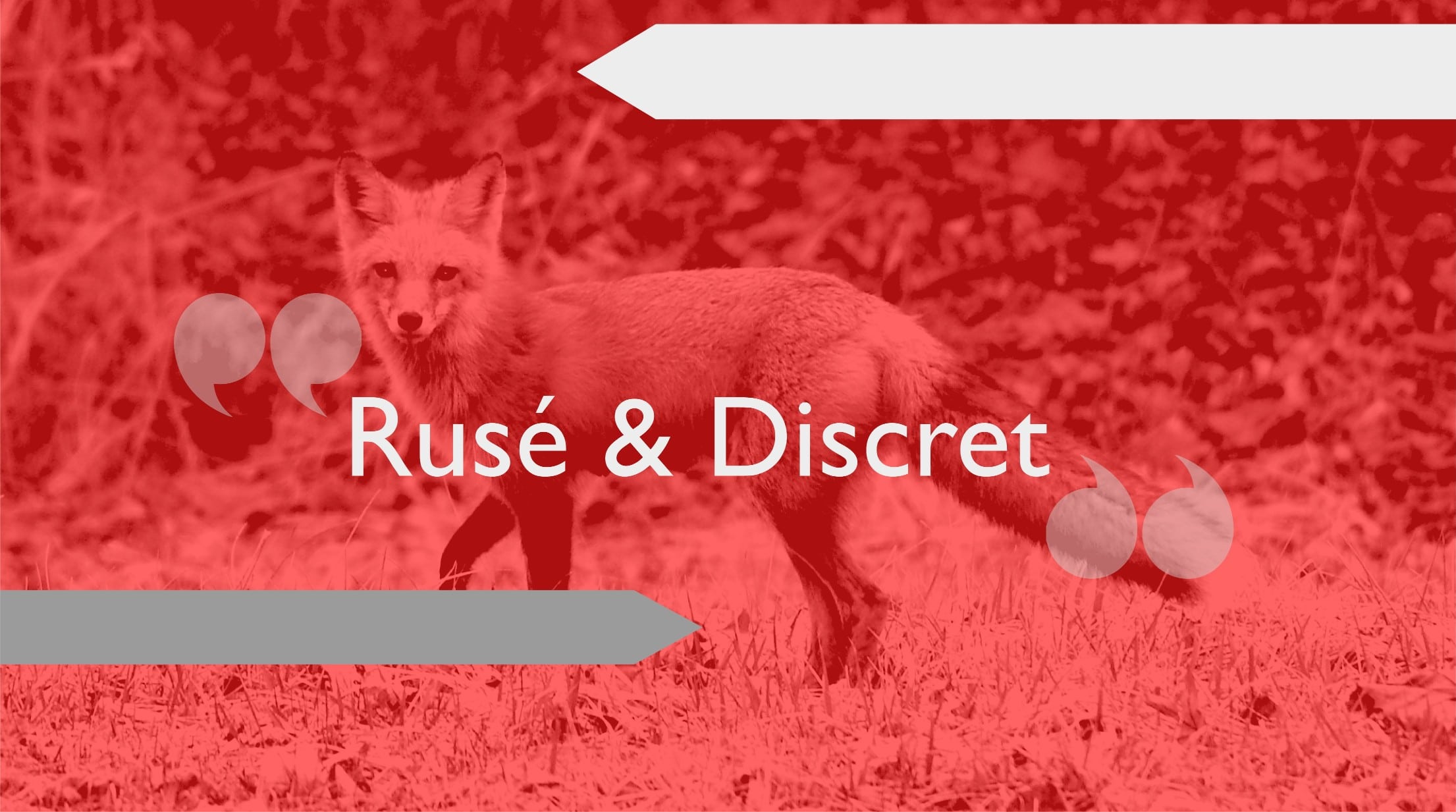 Serkal ruse discret